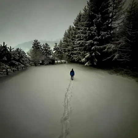 Zielona Ges Leszczyniec