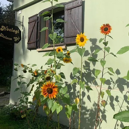 Zielona Ges Apartamento *