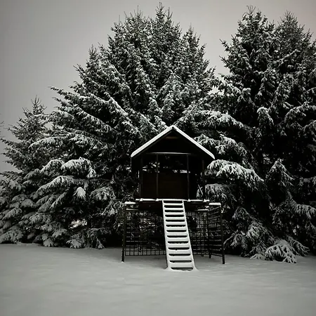 Zielona Ges Apartamento *