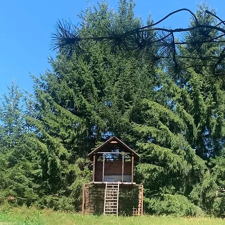 Zielona Ges Apartamento Leszczyniec