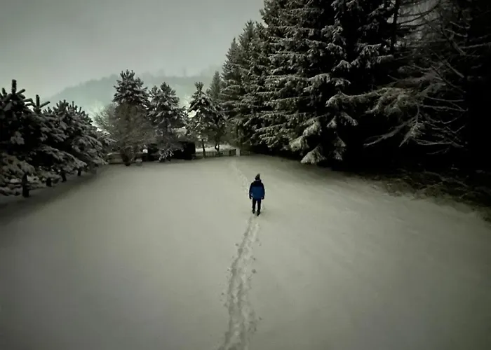 Zielona Ges Leszczyniec