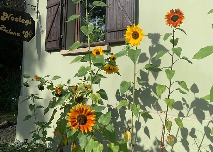 Zielona Ges アパート *