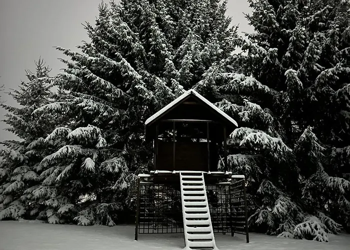 Zielona Ges アパート *