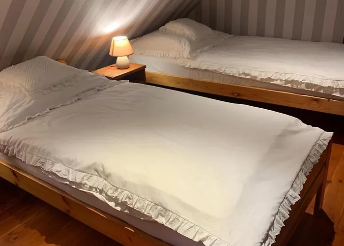 Zielona Gęś Apartament *