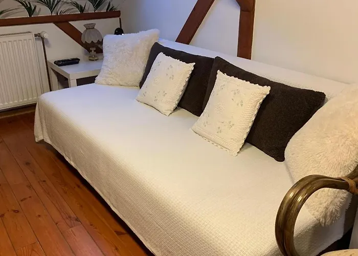 Apartament Zielona Gęś *