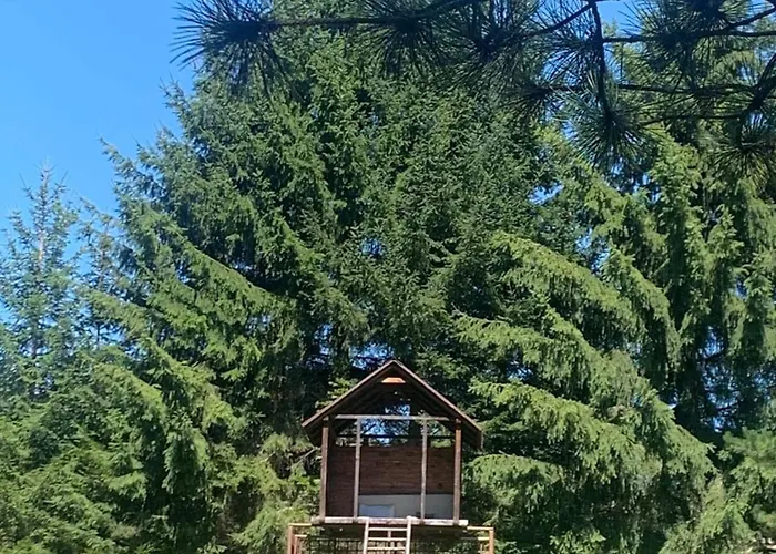 Zielona Ges アパート Leszczyniec